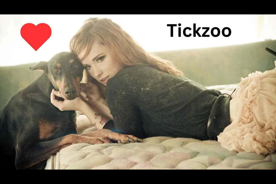 tickzoo